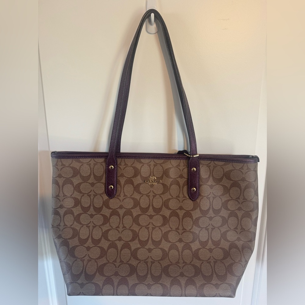 Coach Brown and Purple Signature Tote